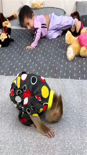 18K views · 224 reactions | Monkey Kaka comforted Diem who was crying and asking to see phoner#2061.#crazymonkey #monkeyfamily #monkeysofinstagram | Macaque Video | Facebook