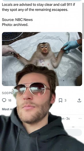 Research Lab Monkey Found: Update on Missing Monkeys