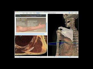 Cadaver Dissection Guide Overview