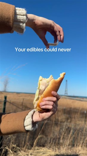 Yes, you can squeeze HiSnaps on food (and it’s weirdly, really delicious) for an instant 5mg 🌱 infused snack. It’s unflavored, but there’s a tiny touch of sweetener in the coconut water stabilizer that softens any hempy notes—so instead of “weed taste,” you get a subtle, pleasant little lift. Same Snap. Same effect. Just… snack-adjacent.