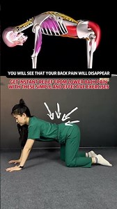 Quick Relief Lower Back Pain Exercises