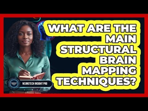 What Are The Main Structural Brain Mapping Techniques?