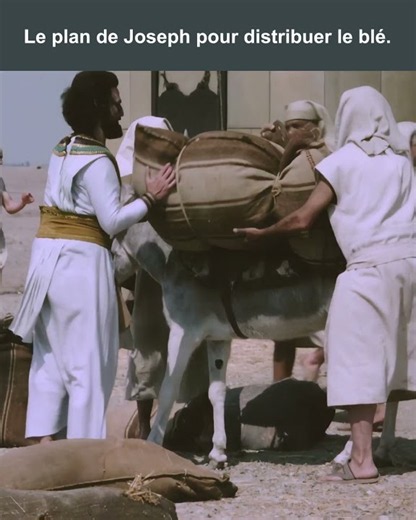 Joseph's plan to distribute the grain.