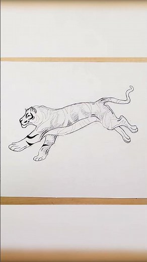 How to Draw a Simple Tiger #shorts