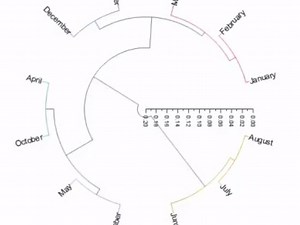 Origin绘图-聚类分析
