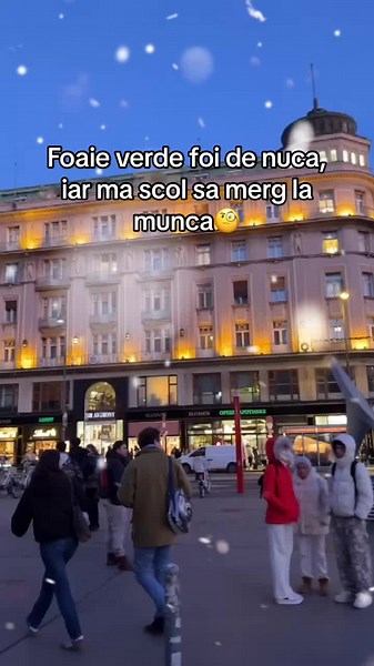 Foaie Verde Foi de Nucă - Munca și Chef de Viață