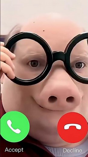 The Mysterious John Pork: Still Calling… Still No Answer📱#johnpork #johnporkiscalling #johnporkmeme