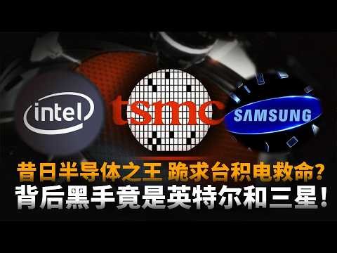 昔日半导体之王，跪求台积电救命？背后黑手竟是英特尔和三星!|日本半导体|衰落的三十年