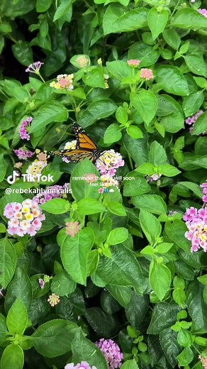 Springtime Delights: Embracing the Season's Joy