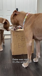 Get more hellos, more convenience, and more peace of mind with all-new Blink Video Doorbell. Think: head-to-toe HD view, super simple set up, and up to two years of powerful battery life, all for just $69.99. | Blink