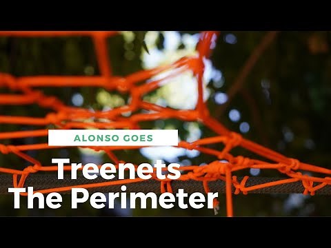 How To Make A Treenet - Part 1: The Perimeter