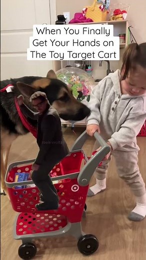 Buying My Toddler The Toy Target Shopping Cart