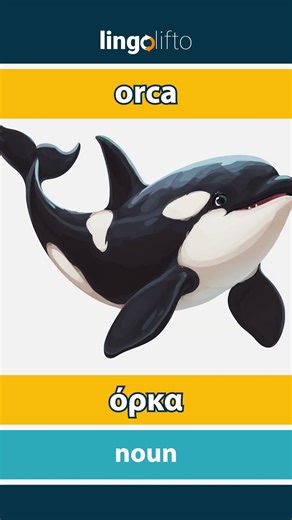 🇬🇧🇬🇷 orca - όρκα : learn English : ας μάθουμε αγγλικά : vocabulary builder