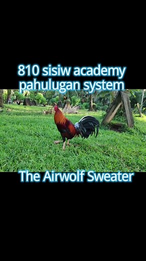 The airwolf sweater top of the line In the air and in the land, they are a formidable foe.