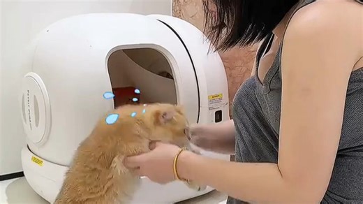 智能清洁新体验，高效去污更省心，家用扫地机器人轻松搞定全屋清洁。强劲吸力搭配智能导航，边角缝隙不留灰尘，远程APP操控便捷省力，真实用户反馈：每天回家都享受一尘