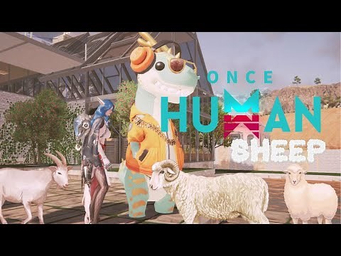 ONCE HUMAN Sheep Breeding Guide – Unlock INSANE Mask and Hat Buffs with Golden Wool! 🐑