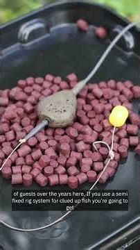 Inline leads for PVA bags: semi fixed or running?