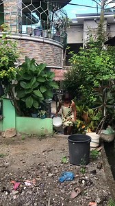 Adda magat IPON ti UTTOT na..adda pay nga nakaraman sher yur blisings mt aa🤦🏻‍♀️ | Nong Ace Payderman
