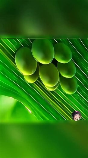 "ربّاوها حلزون… ولكن الحقيقة لي خرجات صدمت العالم كامل! 😱🦋" #السعودي...