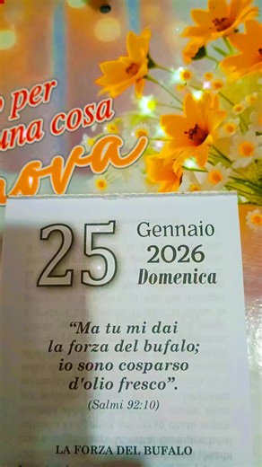 Video di mariacaruso397 (@mariacaruso397) con original sound - ZionWave AI Studio