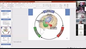 What Are Substance Use Disorders, and What Are the DSM-5 Criteria?