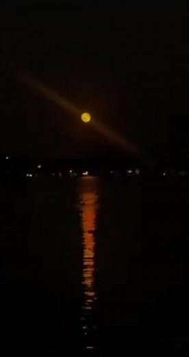 Vibrant PNG TikTok Moments and Catchy Sayings