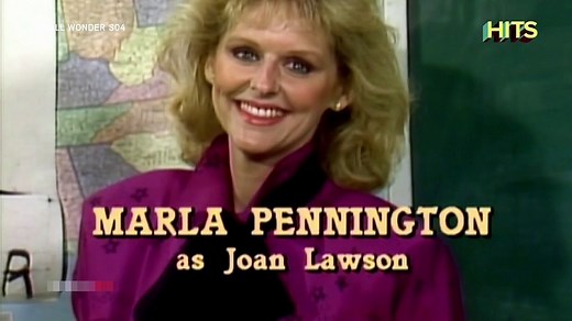 Small Wonder Season 4 Episode 19 | Minnesota Vicki