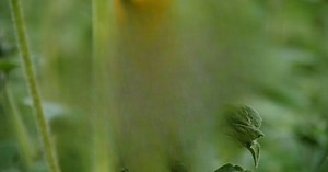 Download and run s.mart UNLIMITED on PC & Mac (Emulator)