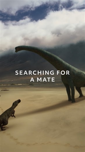 Will Old Grande, the Lusotitan, achieve his ultimate goal and win over a female to secure his legacy? Living 150 million years ago, he risks his life for love through an epic journey in Iberian Mesta. ▶️Check out #WalkingWithDinosaurs streaming on June 18th at 8pm, only on Arizona PBS. | Arizona PBS