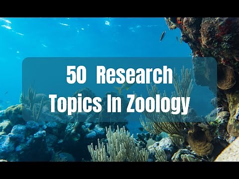 50 Top Zoology Research Topics For Masters #researchhub #zoology #research #youtubevideo