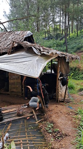 Deep Forest Isolation: Why I Love This Simple Hut #kangutub #cabinbliss