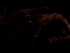 The Hairy Angler & The Gulper Eel