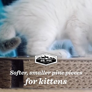 Create an inviting litter box experience for your kitten! 🐈 With softer, smaller pine pieces, Dr. Pol ™ Pine Cobble® is puur-fect for kittens and small cats. Now available at Walmart.com! Tap here to purchase: https://bit.ly/3OZOBzQ #drpol #catlitter | Dr. Pol Pets