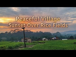 Peaceful Village Sunset Over Rice Fields