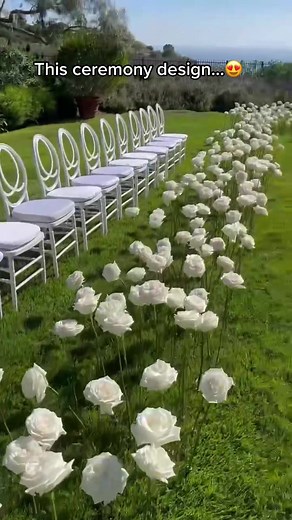 #greenscreenvideo Wanting a unique ceremony for an intimate wedding?? 🌹 💍 #weddingplanner #purelavishevents #whitewedding #roses #ceremony #florals #love #weddingseason2022