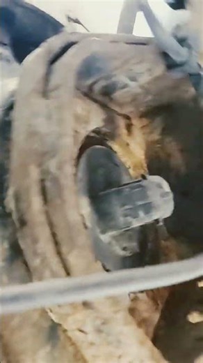 abs sensor location 2002 toyota sienna rear brake