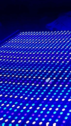 Reef LED Aquarium Light 6W Dual Chip Aquarium Led Blue UV Lamp Marine Ocean Corals Fish Tank Reef Day Plus LED Light Dimming