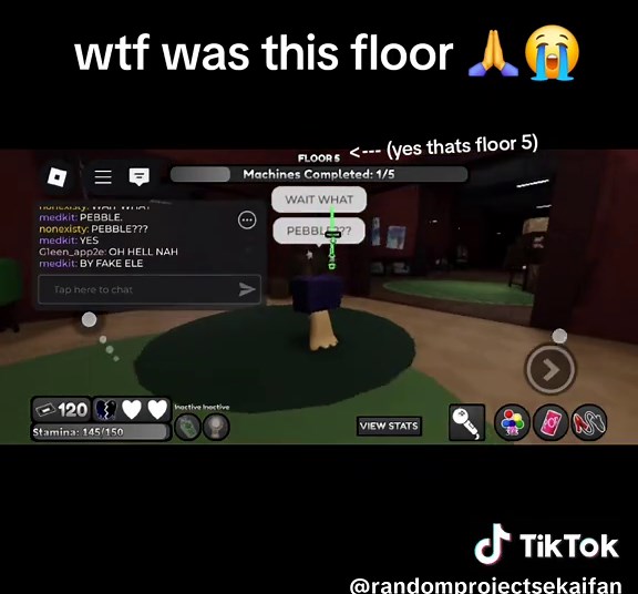 pebble and bobettr on floor 5... (ignore the hashtags #pebble #bobette )