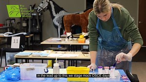 The final assessment for student veterinary nurses on the Lantra...