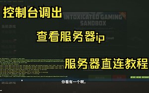 RUST查看服务器ip及直连教程（第三集）