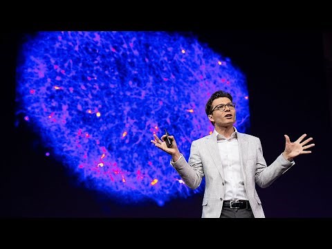 How We're Reverse Engineering the Human Brain in the Lab | Sergiu P. Pasca | TED