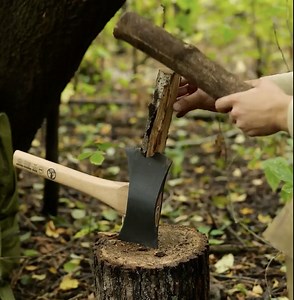 Survive the Wild: Top Food Hunting Hacks from Experts | 5-Minute Recycle