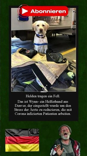 #shortsvideo #ytshorts #trending #lol #humor #witzig #spaß #deutschland #germanhumor #viralvideo