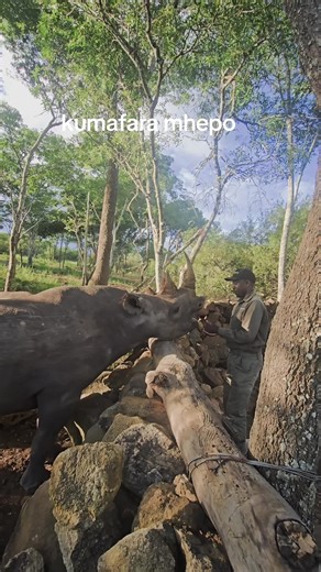 #viral #fypppppppppppppp #zimbabwe