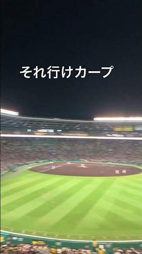広島東洋カープ球団歌(それ行けカープ)#広島カープ #球団歌 #それ行けカープ #広島東洋カープ #甲子園球場 #ライトスタンド #公式戦 #阪神タイガース