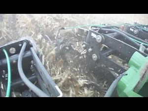 The Art of High Residue Farming- Dawn Pluribus in Irrigated Corn Stalks