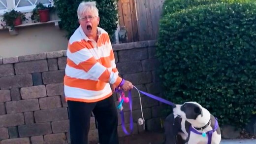 10K views · 237 reactions | An enraged dog walker goes ballistic when she confronts a speeding driver in her neighborhood in this scene from Road Wars. | A&E | Facebook