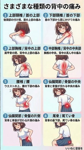 【背中の痛み】あなたの痛みはどこから？8つの部位別「原因とサイン」徹底解説｜首の付け根から尾てい骨まで、場所でわかる体のSOS