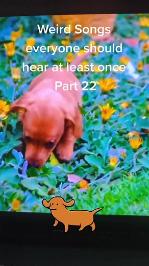 Dead Puppies Aren't Much Fun. Bill Frenzer & Ogden Edsl #Weird #Songs #1977