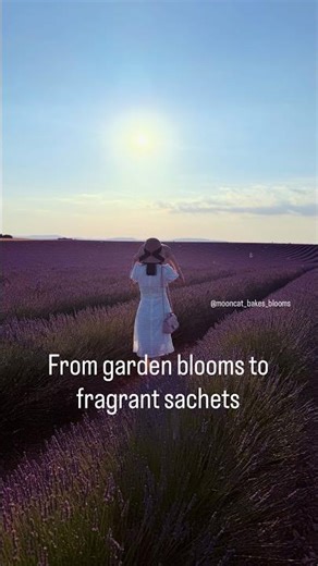 From garden blooms to fragrant sachets 💜 #lavender #gardening #simplejoys